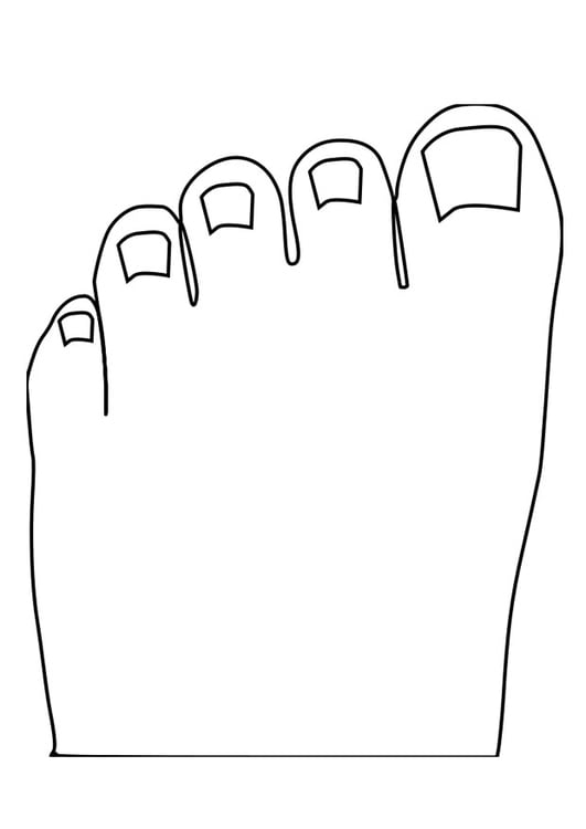 Coloring page toes