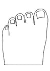 Coloring pages toes