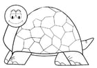 Coloring pages tortoise