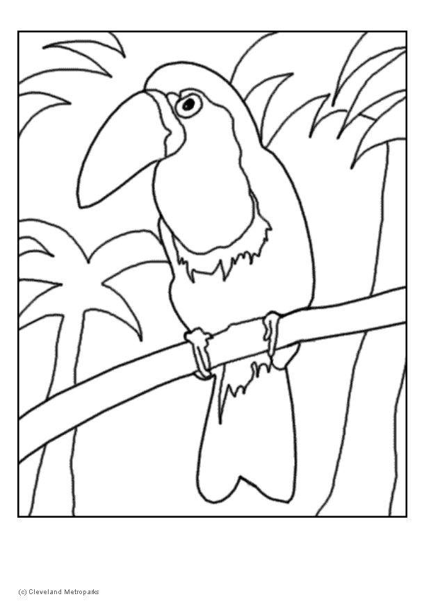 Coloring page toucan