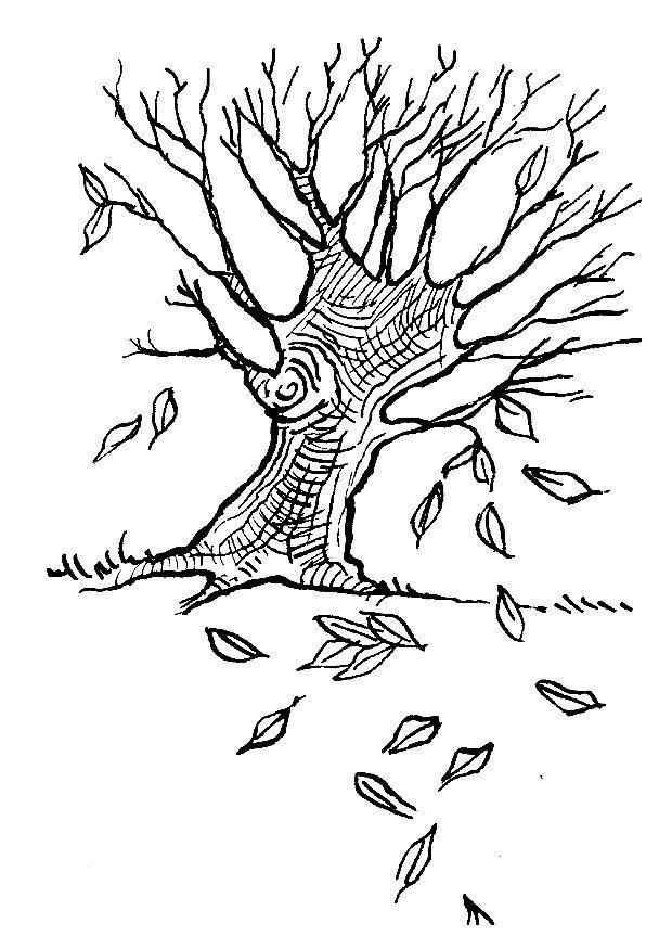 Coloring page tree - autumn leaves