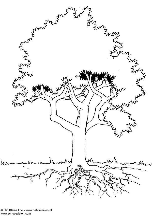 Coloring page tree
