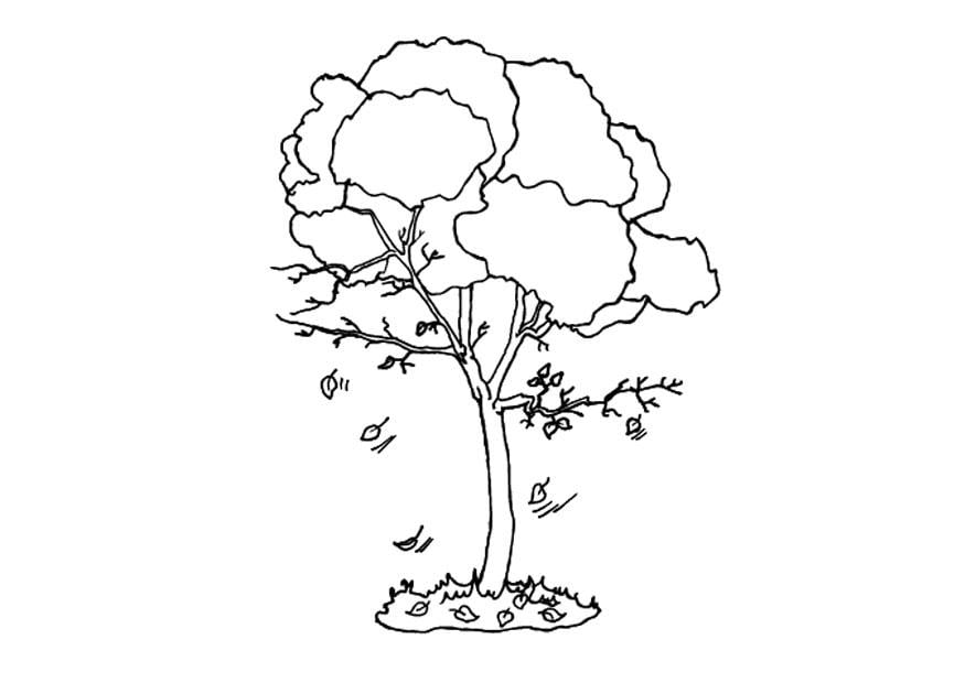 Coloring page tree in autumn