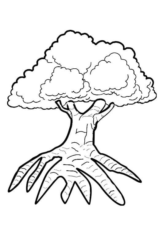 tree trunk coloring page