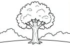 Coloring page tree