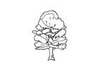 Coloring pages tree