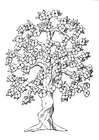 Coloring page tree with blossoms
