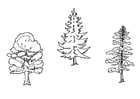 Coloring pages trees