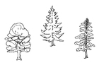 trees