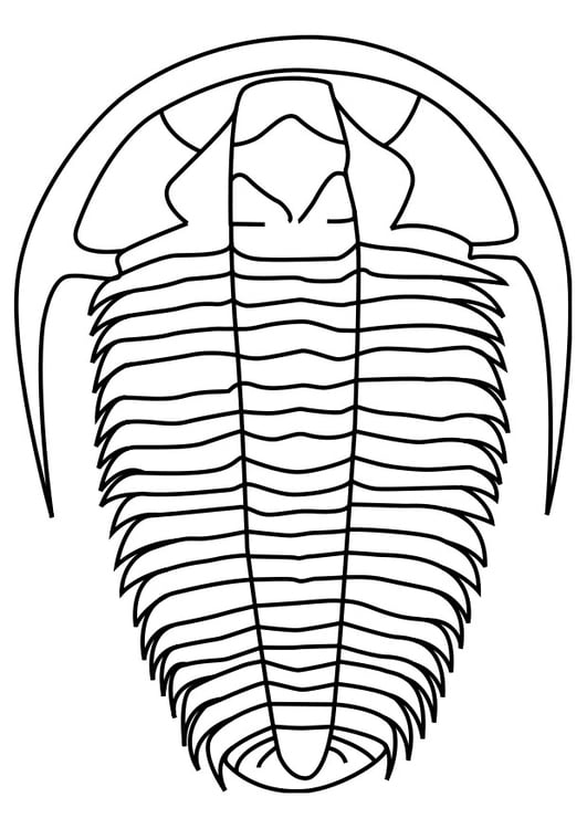 Coloring page trilobite