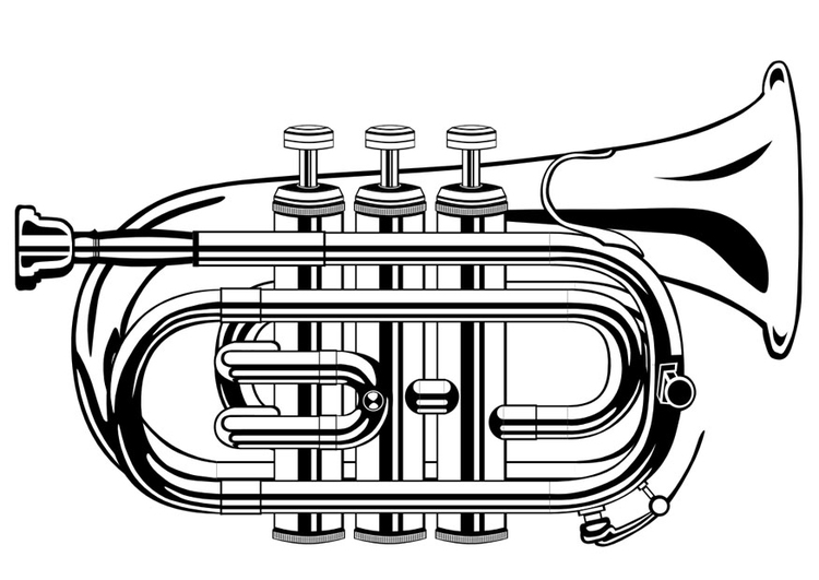 Coloring page trumpet