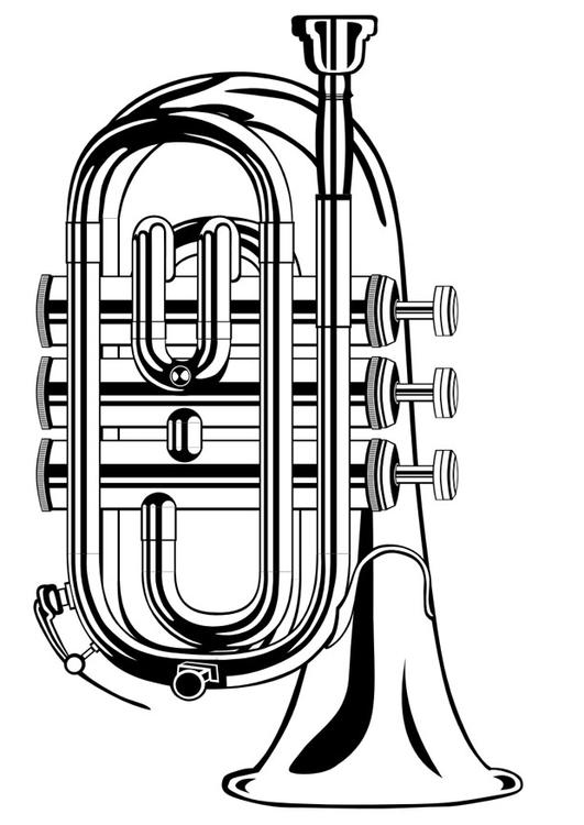 trumpet