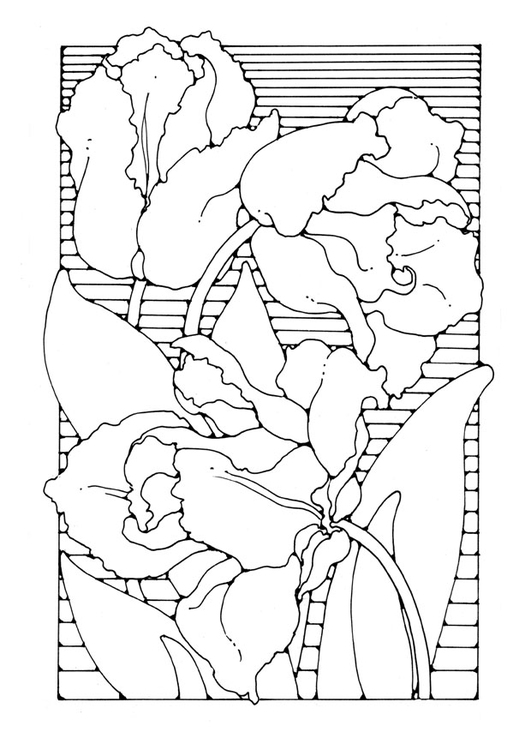 Coloring page tulips