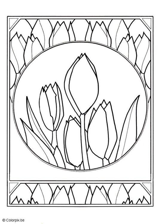 Coloring page tulips