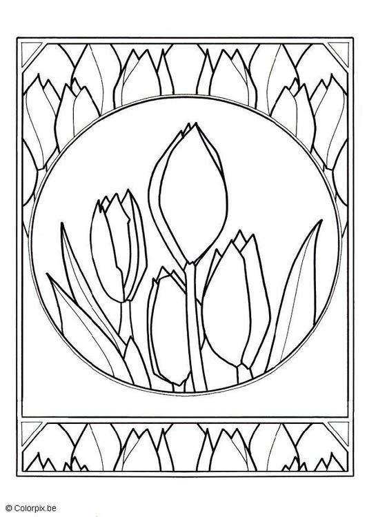 tulips