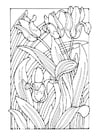 Coloring page tulips