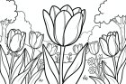 coloring-page tulips