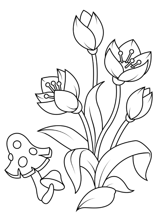 Coloring page tulips with mushroom