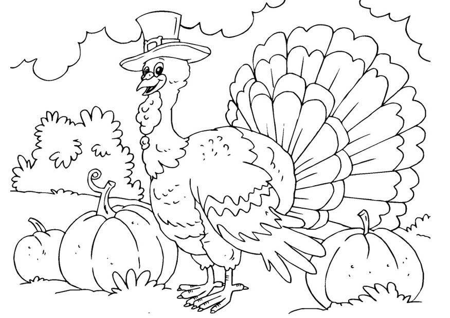 Coloring page turkey