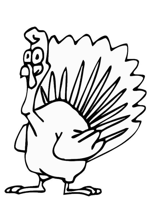 Coloring page turkey