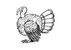 Coloring page turkey