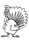 Coloring page turkey