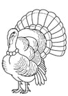 Coloring pages Turkey