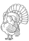 Coloring page Turkey