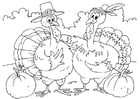 Coloring pages turkeys