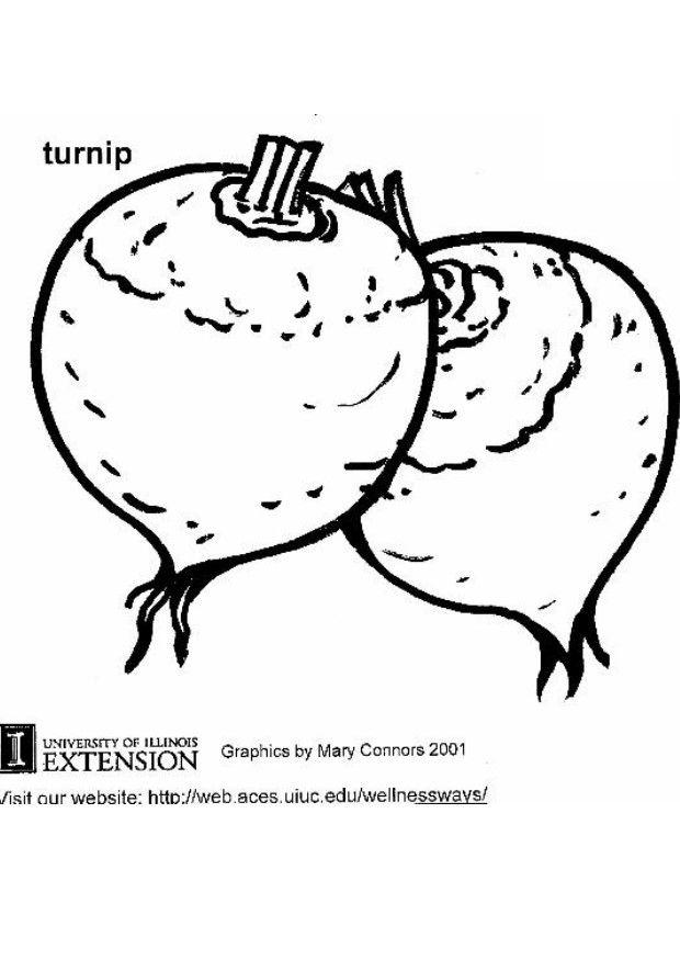 Coloring page turnip