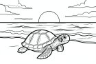 turtle on the beach with a beautiful sunset