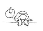 Coloring page turtle