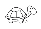 Coloring page Turtle