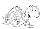 Coloring page turtle