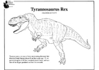 Coloring page tyrannosaurus rex