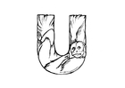 Coloring page u-uakari