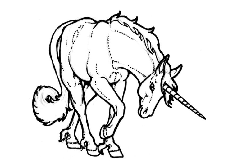 Coloring page unicorn