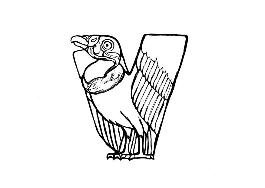 Coloring page v-vulture
