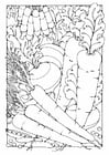 Coloring pages Vegetables