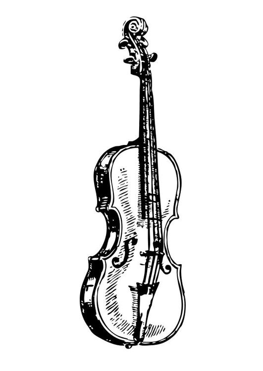 violin