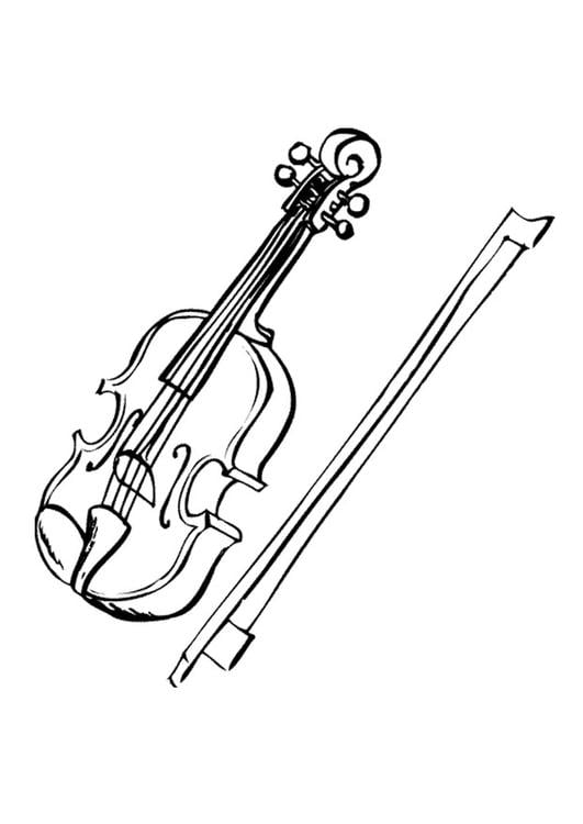 violin