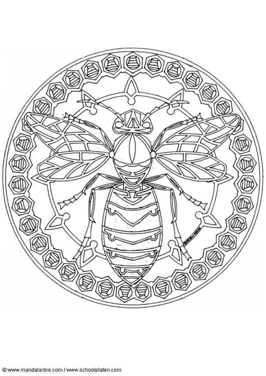 wasp mandala