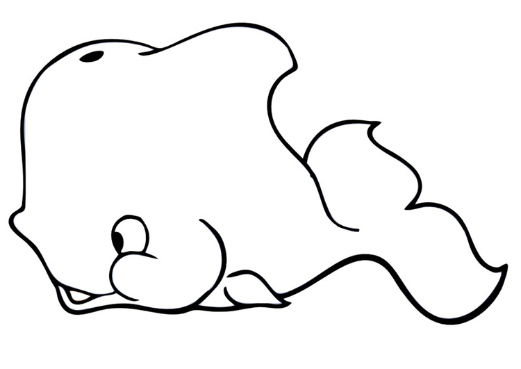 Coloring page whale