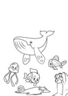 Coloring pages whale octopus and fish