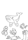 Coloring pages whale octopus and fish