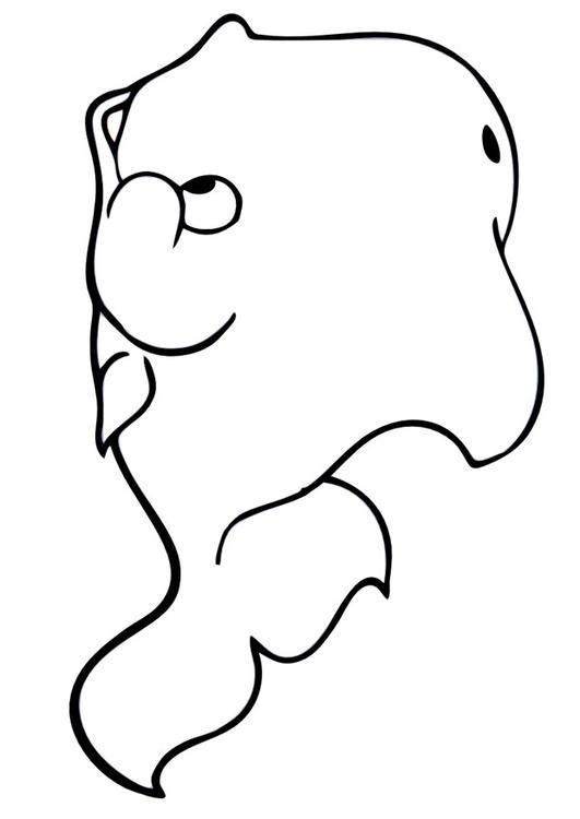 whale