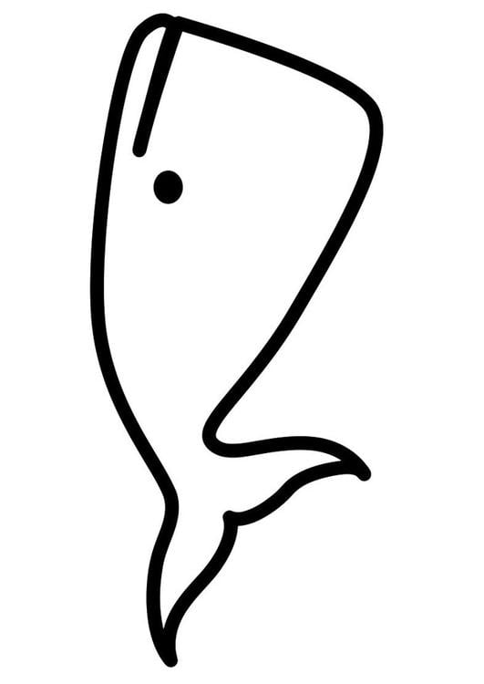 whale