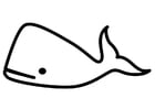 Coloring pages whale