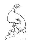 Coloring pages whale