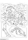 Coloring page wild horses